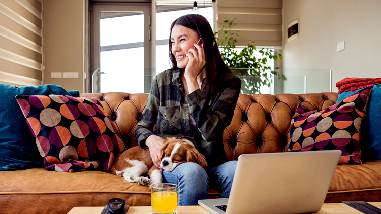 Woman working at home on couch with dog