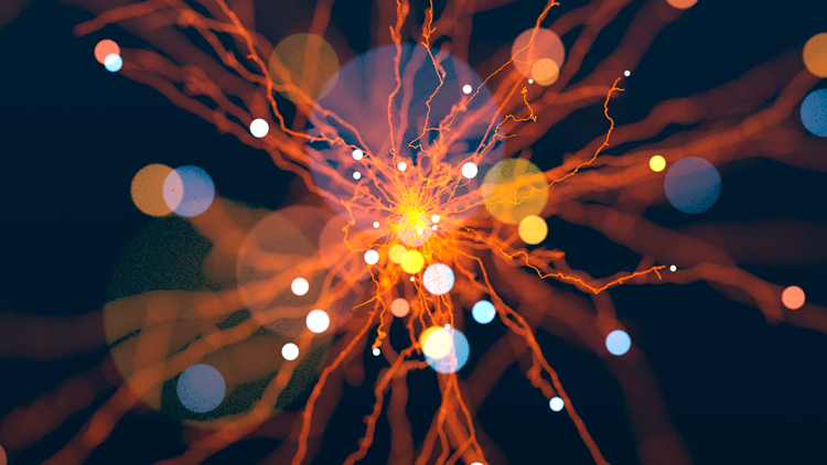Illustration of Neural Network