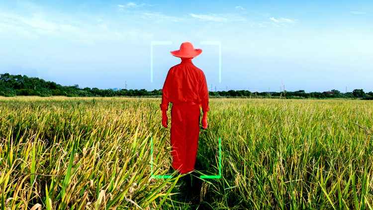 Man in field with bounding box