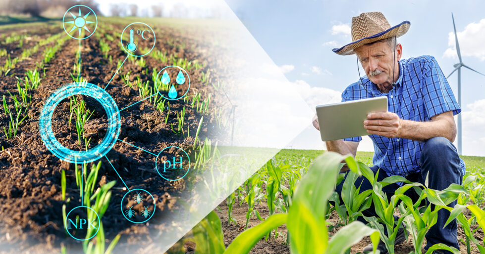 image of male farmer in a field using technology to improve the wellbeing of his crops to produce better food