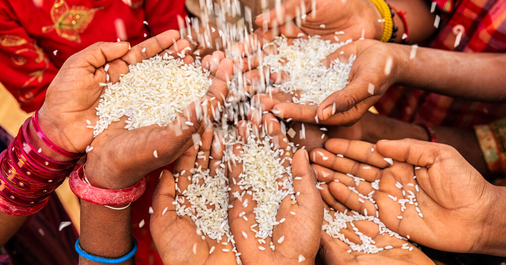 Image of rice grains being poured into hands